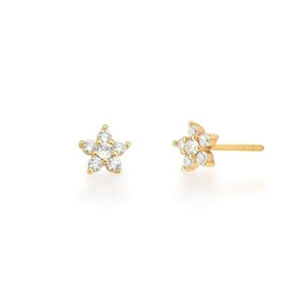 Brinco flor Tina zircônias brancas ouro